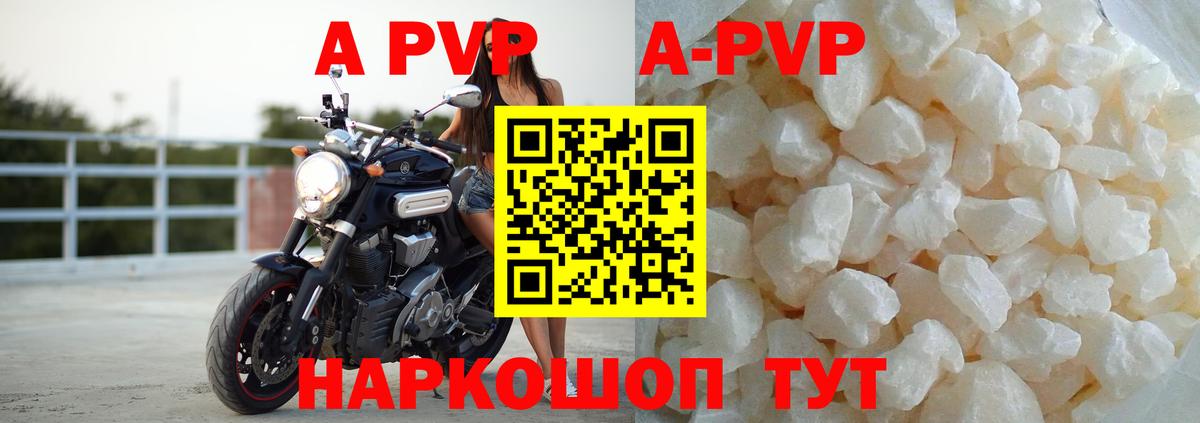 дарнет шоп  Alfa_PVP крисы CK  Нижнекамск  Вход с VPN  A PVP VHQ 