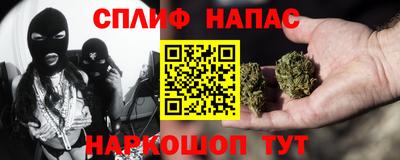 spice Тара
