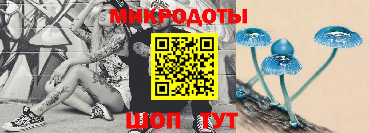 Галлюциногенные грибы мицелий  Вход с VPN  Нижнекамск 